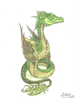Drawing of an Amphitere Dragon